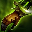 Aberrant Commander's Gauntlets
