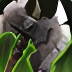 Game icon