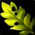 Game icon