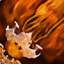 Game icon