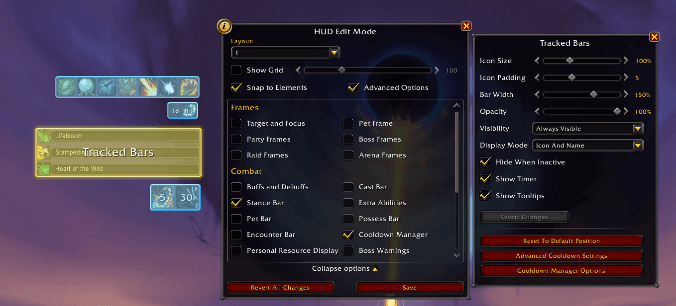 Display Settings — Cooldown Manager