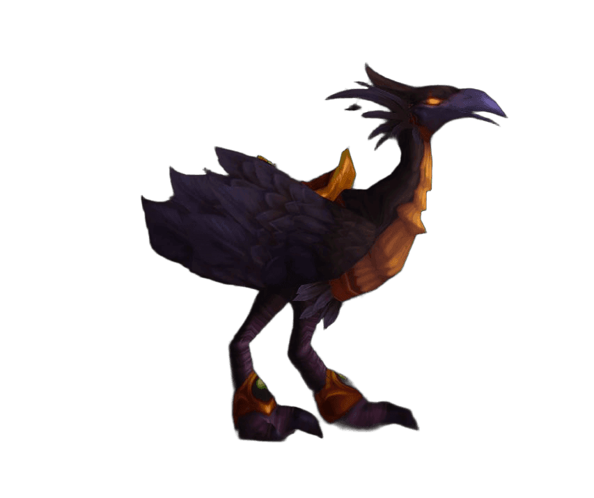 Black Hawkstrider