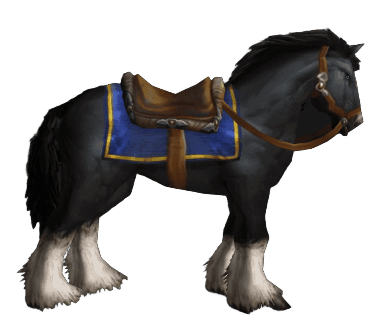 Black Stallion Bridle