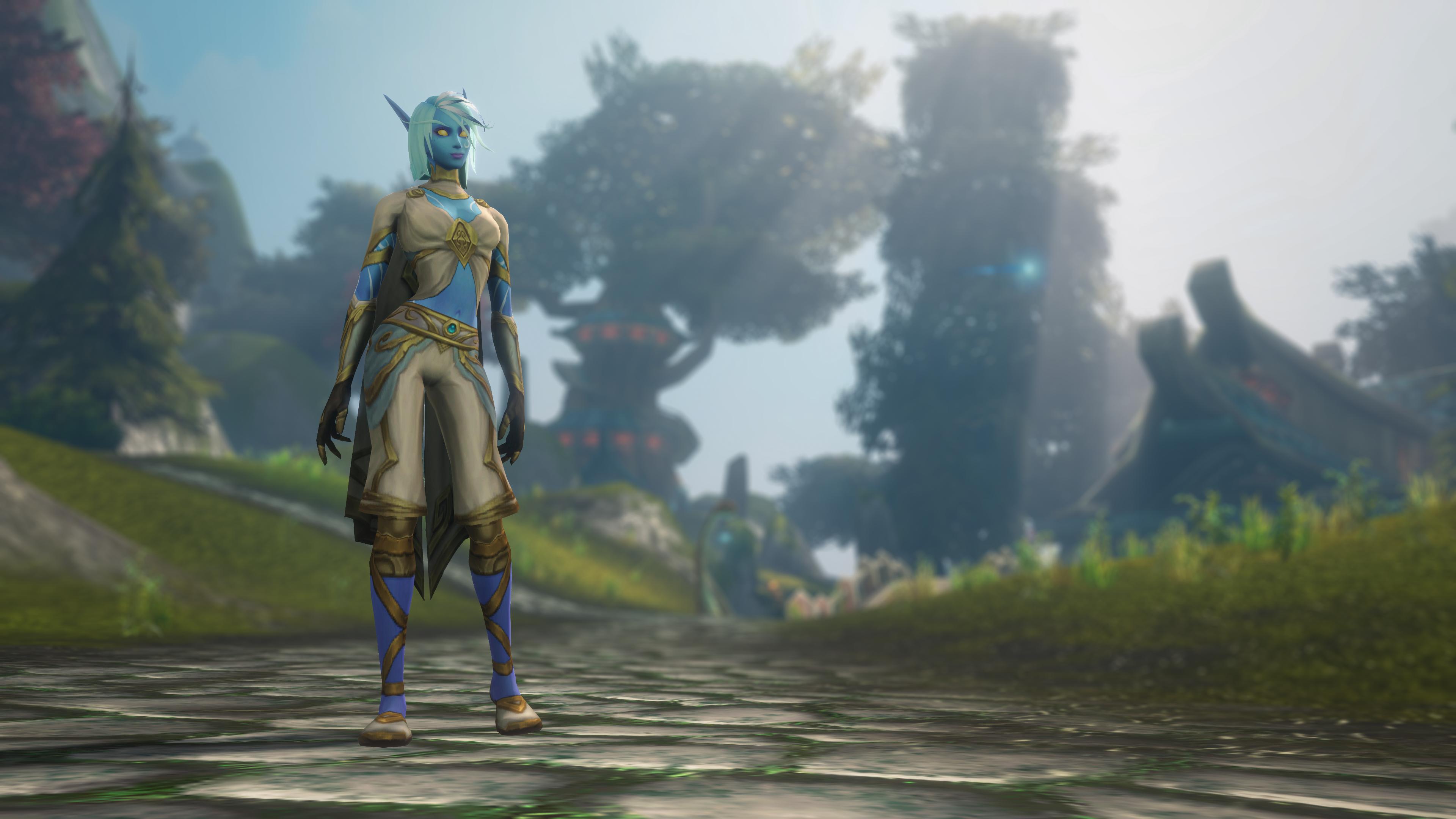 Guide image