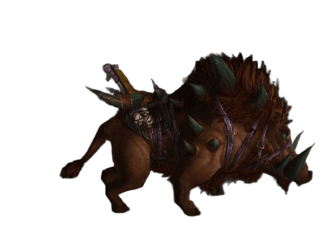 Domesticated Razorback Domesticated Razorback