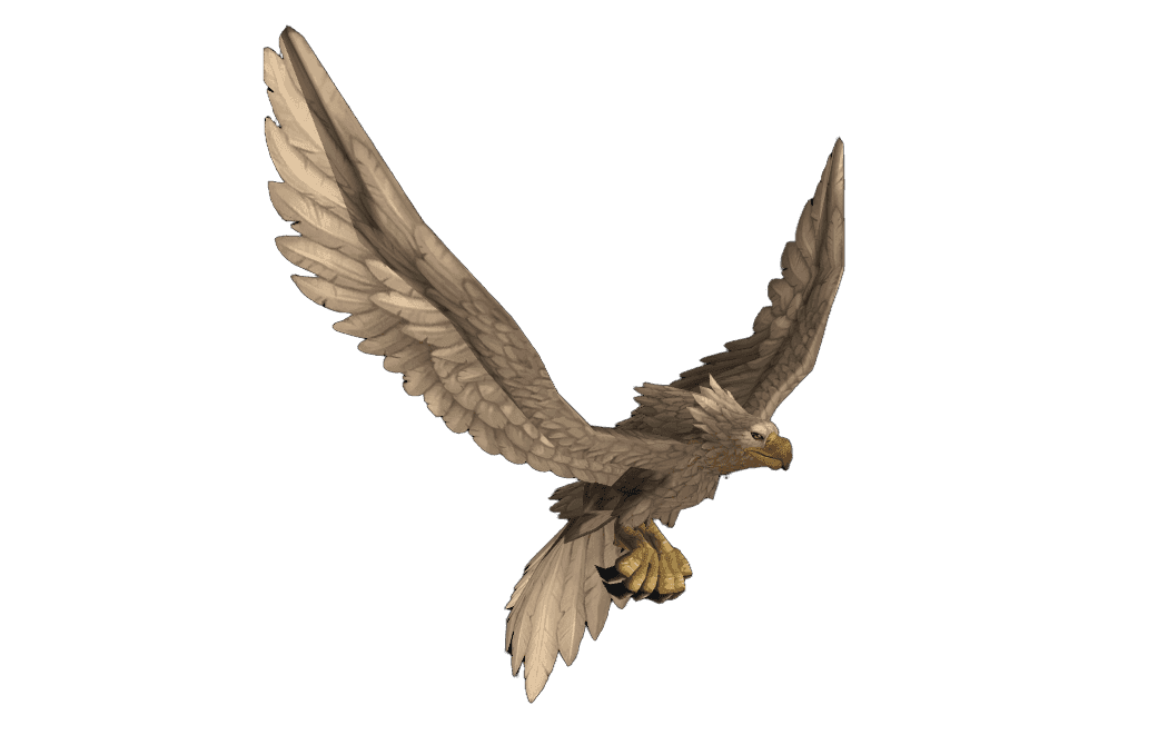 Snowy Highmountain Eagle