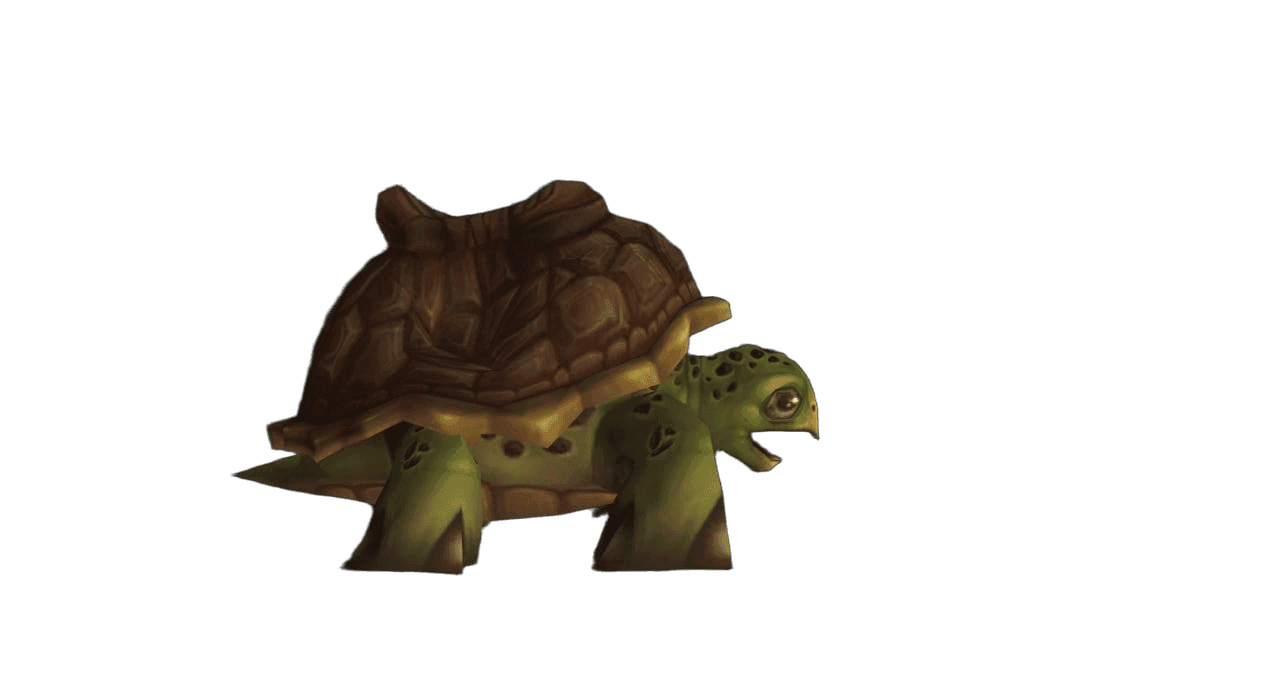 Riding Turtle